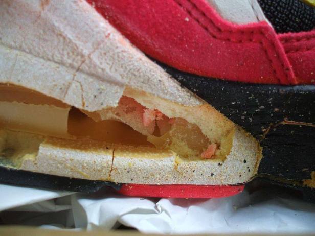 10801767_587850608025999_7447285658096007531_n